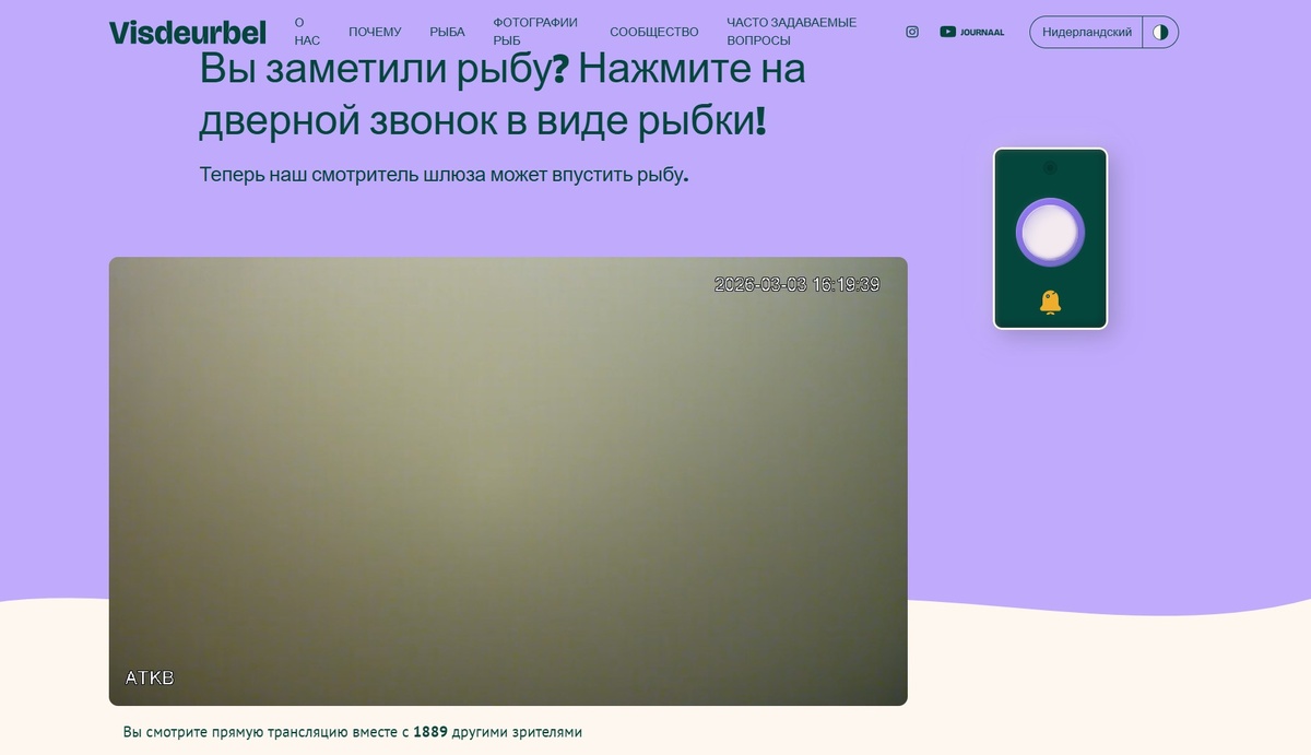 Терминал сервиса «рыбий дверной звонок»  экран где нужно ждать рыбок и кнопка вызова смотрителя.