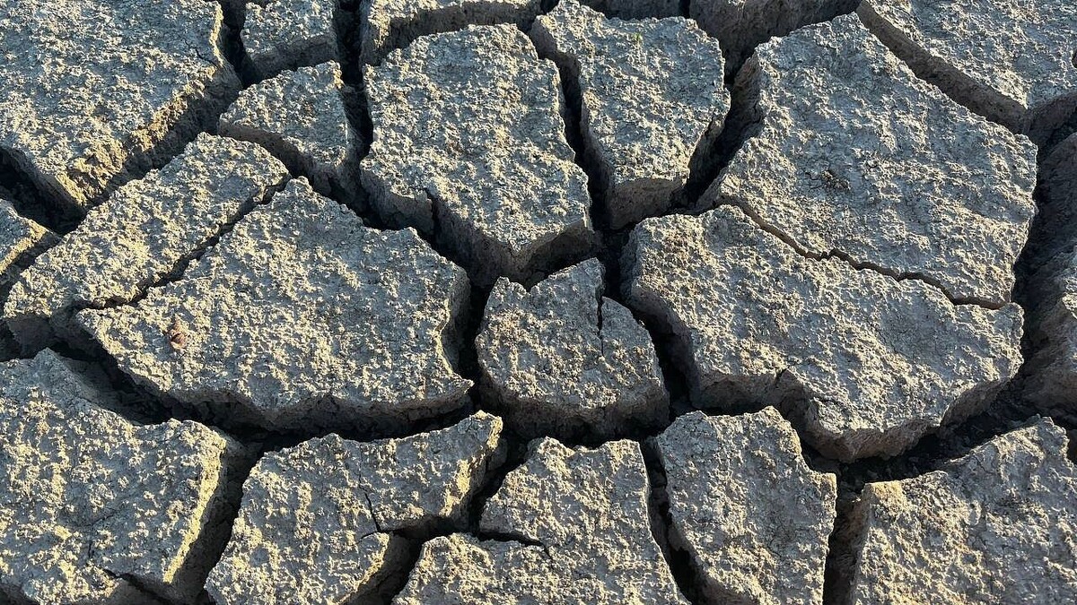    Фото: телеканал «Краснодар»