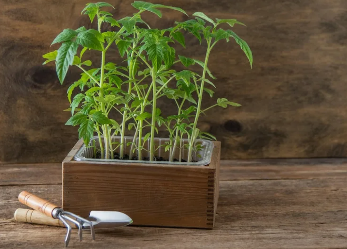 Источник фото: freepik.com