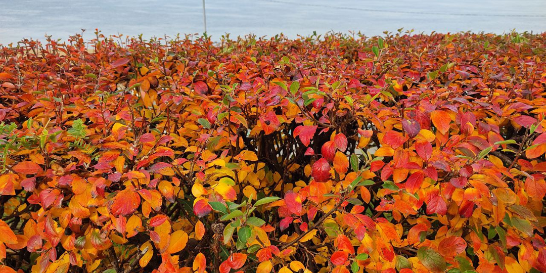 Отличница всегда и везде. Глава 3.