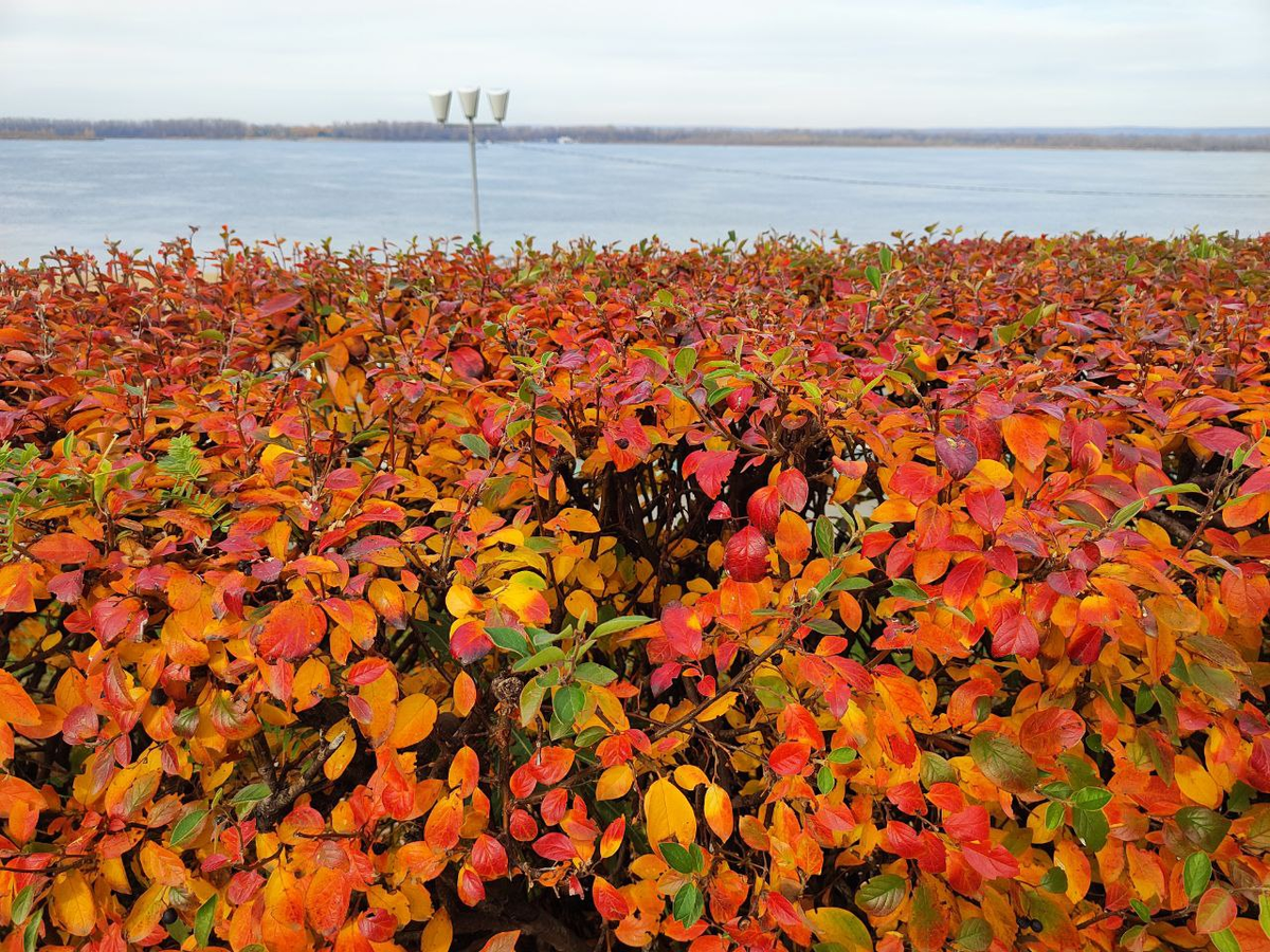 Фото автора.