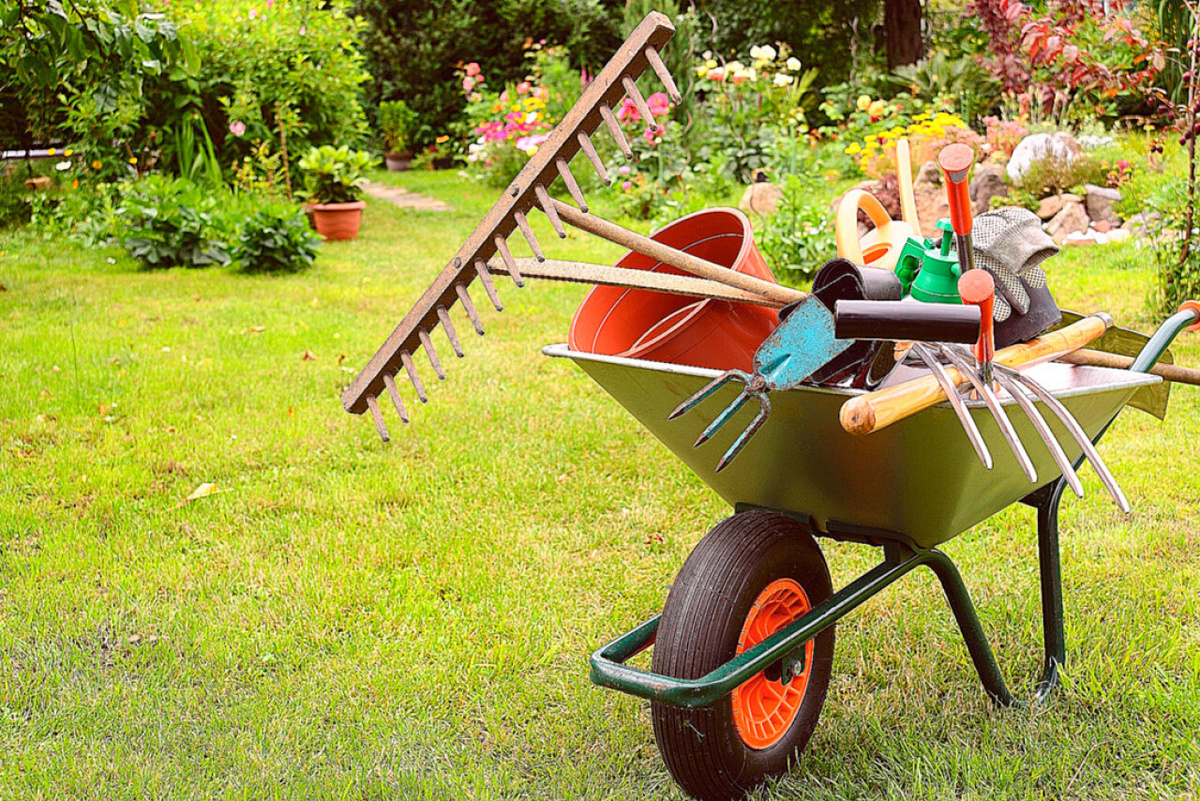 Новые правила для дачников и неожиданные штрафы за деревья: что важно знать 