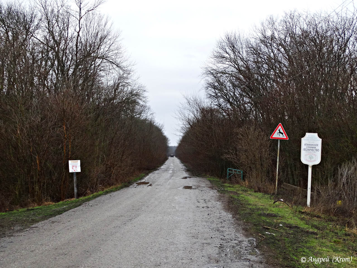 Вход в лесной массив