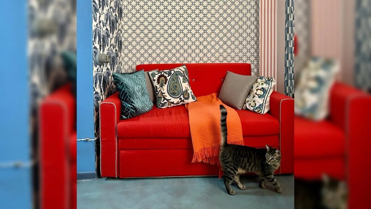 Листайте вправо, чтобы увидеть больше изображений