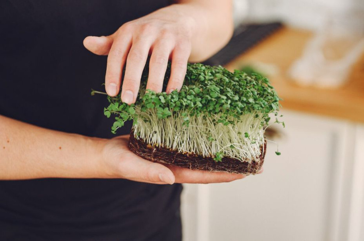    Фото: ru.freepik.com