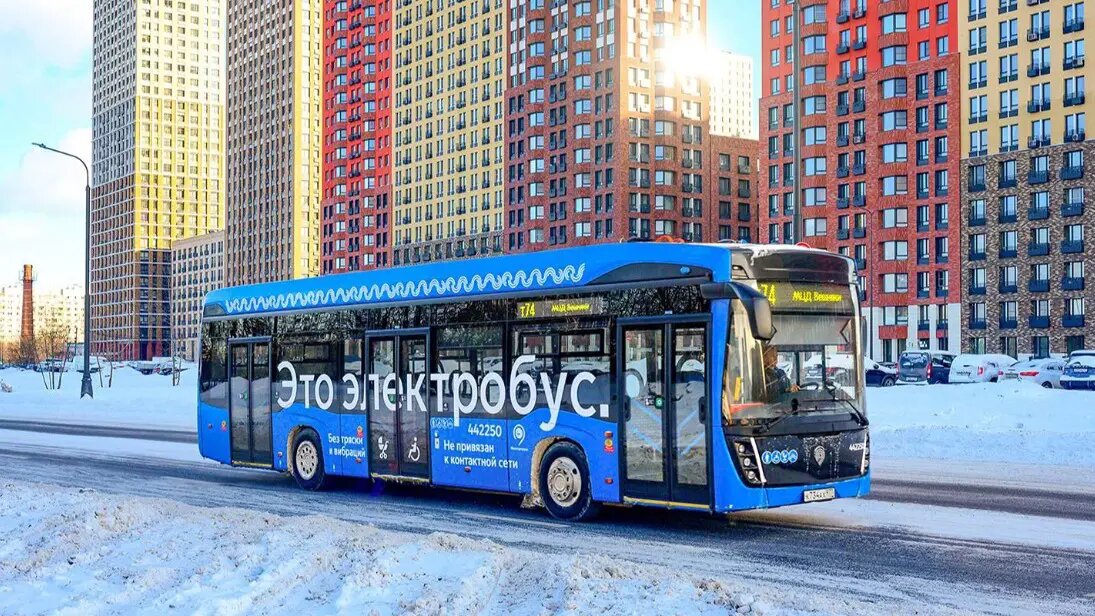    Фото: vm.ru Михаил Козлов