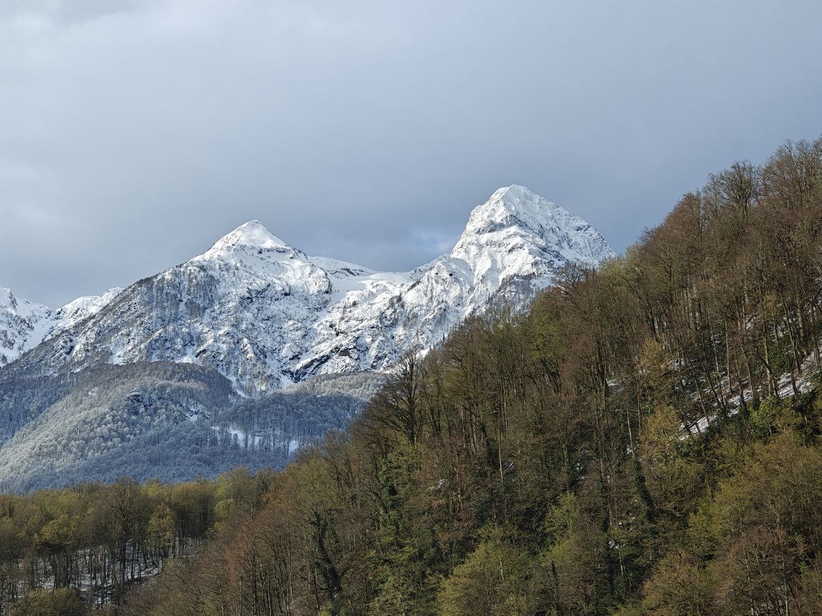    Фото: Юрий Серебренников/BFM Кубань