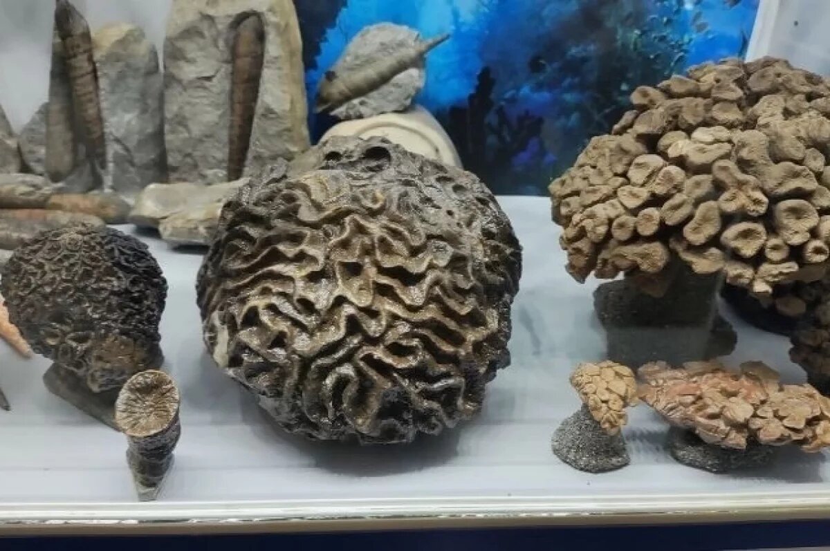    160 млн лет под землей.