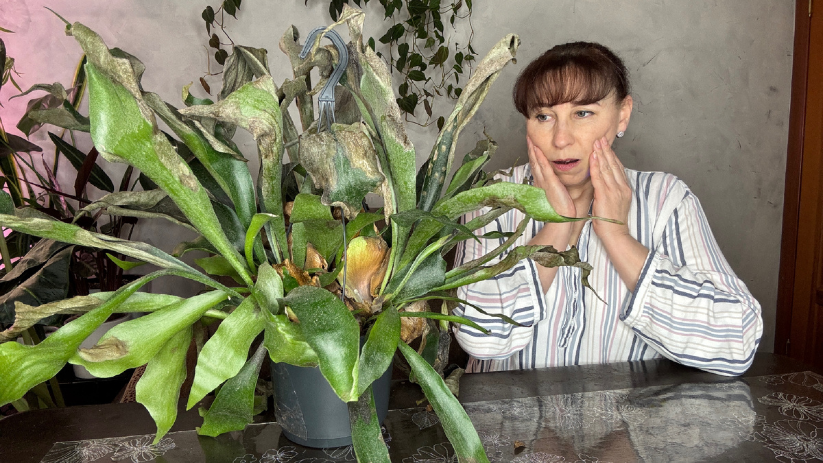 Что с ним делать? За что хвататься?