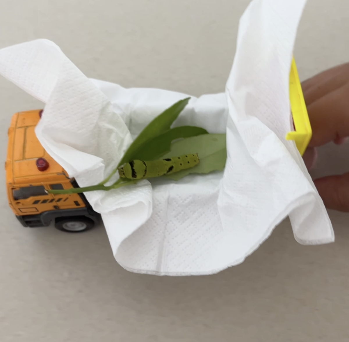 Заботливые дети: чтобы гусенице было не скучно - покатаем ее на машинке :)