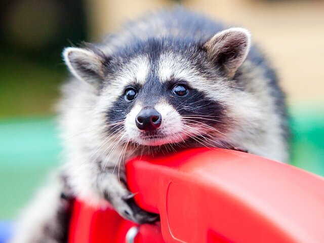    Фото: Москва 24/Лидия Широнина