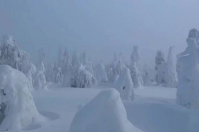    Фото: губернатор Пермского края Дмитрий Махонин