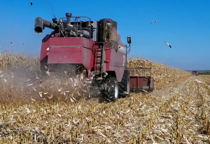     © РИА Новости. Александр Погожев