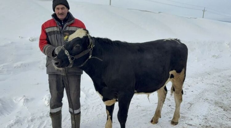    Фото: Минсельхозпрод Республики Татарстан