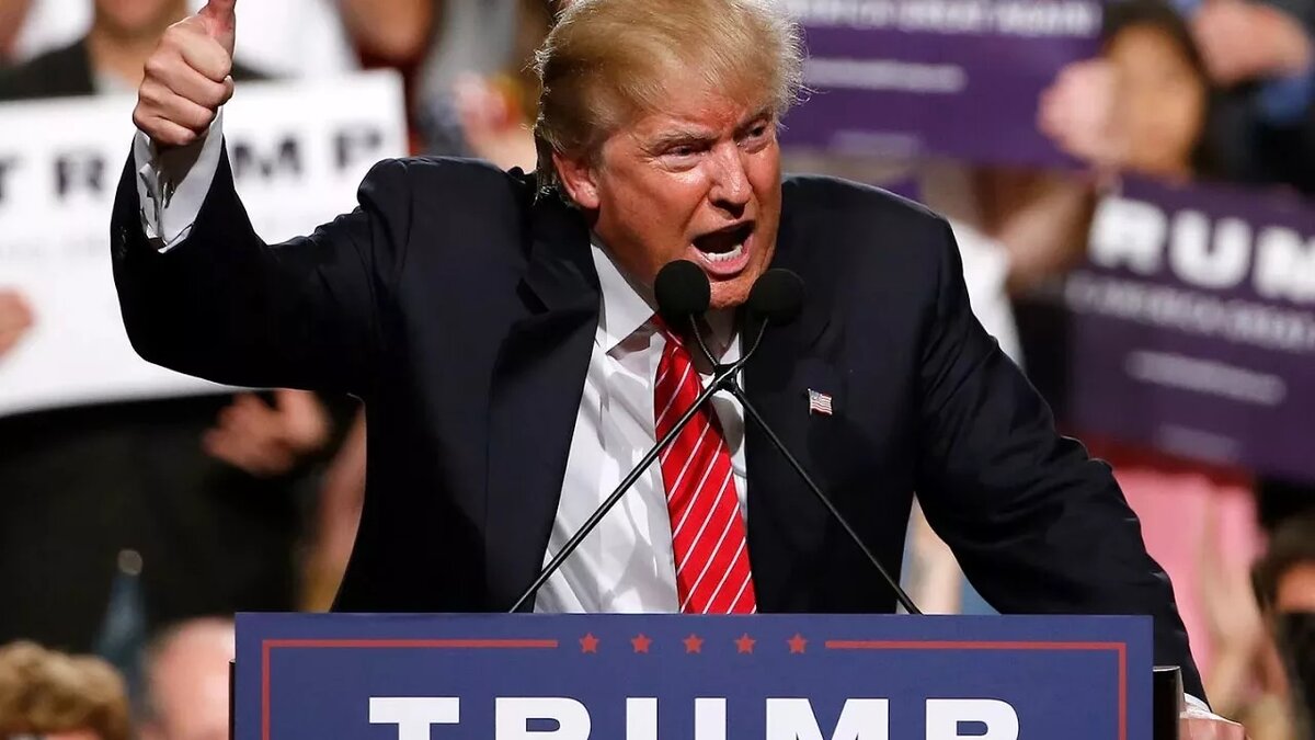 яндекс картинки