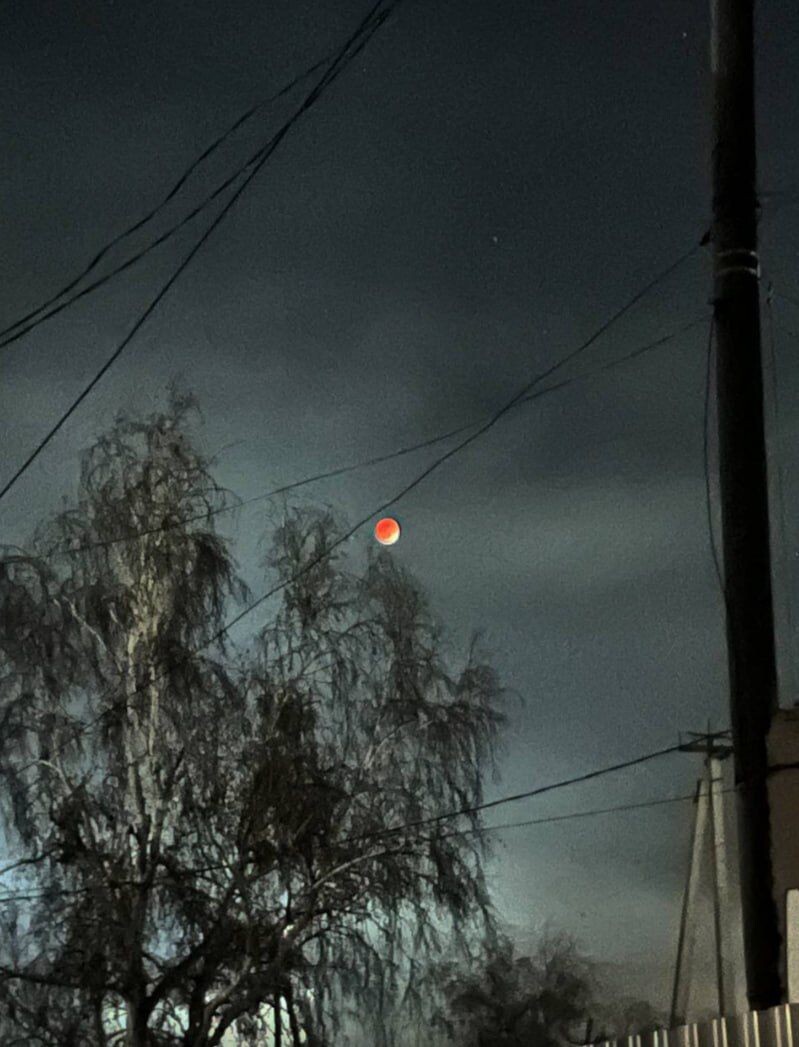    Фото: Очевидец   📷   Фото: Очевидец