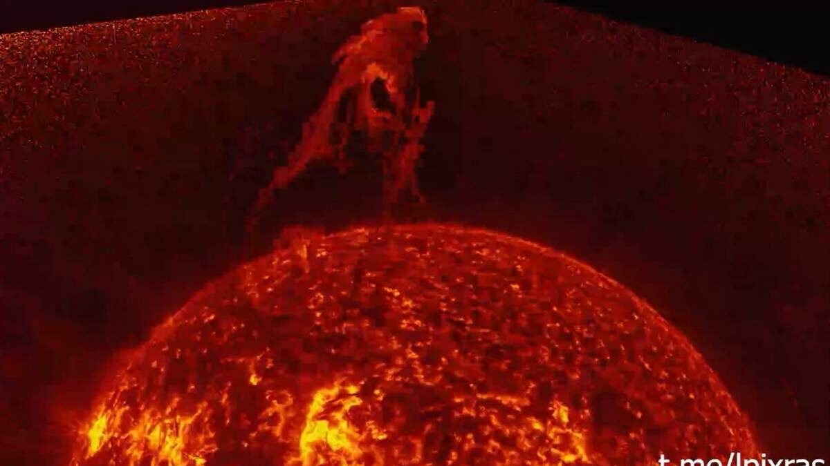    Фото: скриншот / Лаборатория солнечной астрономии ИКИ РАН / Telegram