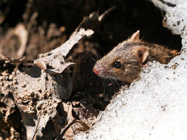    Фото: портал мэра и правительства Москвы/Дарья Мясина