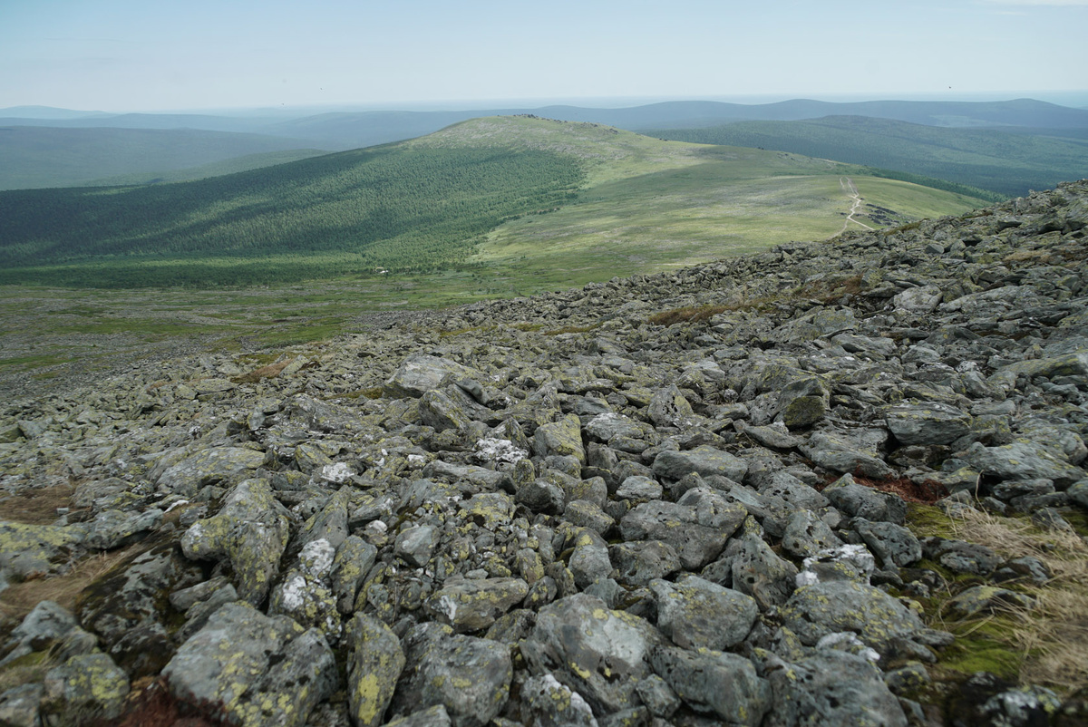Вот она — настоящая 'мертвая' вершина. Без деревьев, без ягод, без жизни. Общественное достояние.