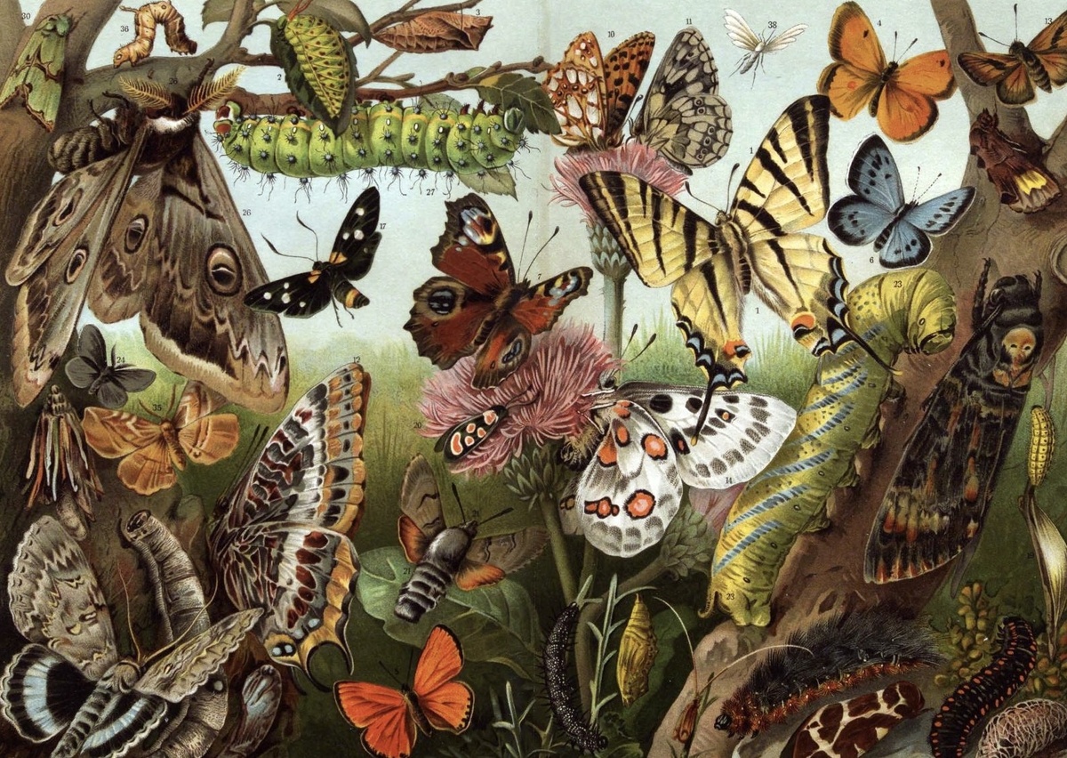 Фотография — общественное достояние. 