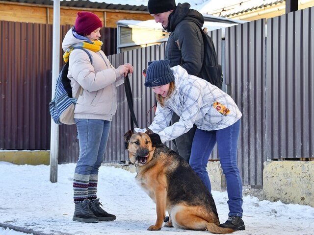    Фото: портал мэра и правительства Москвы/Юлия Иванко