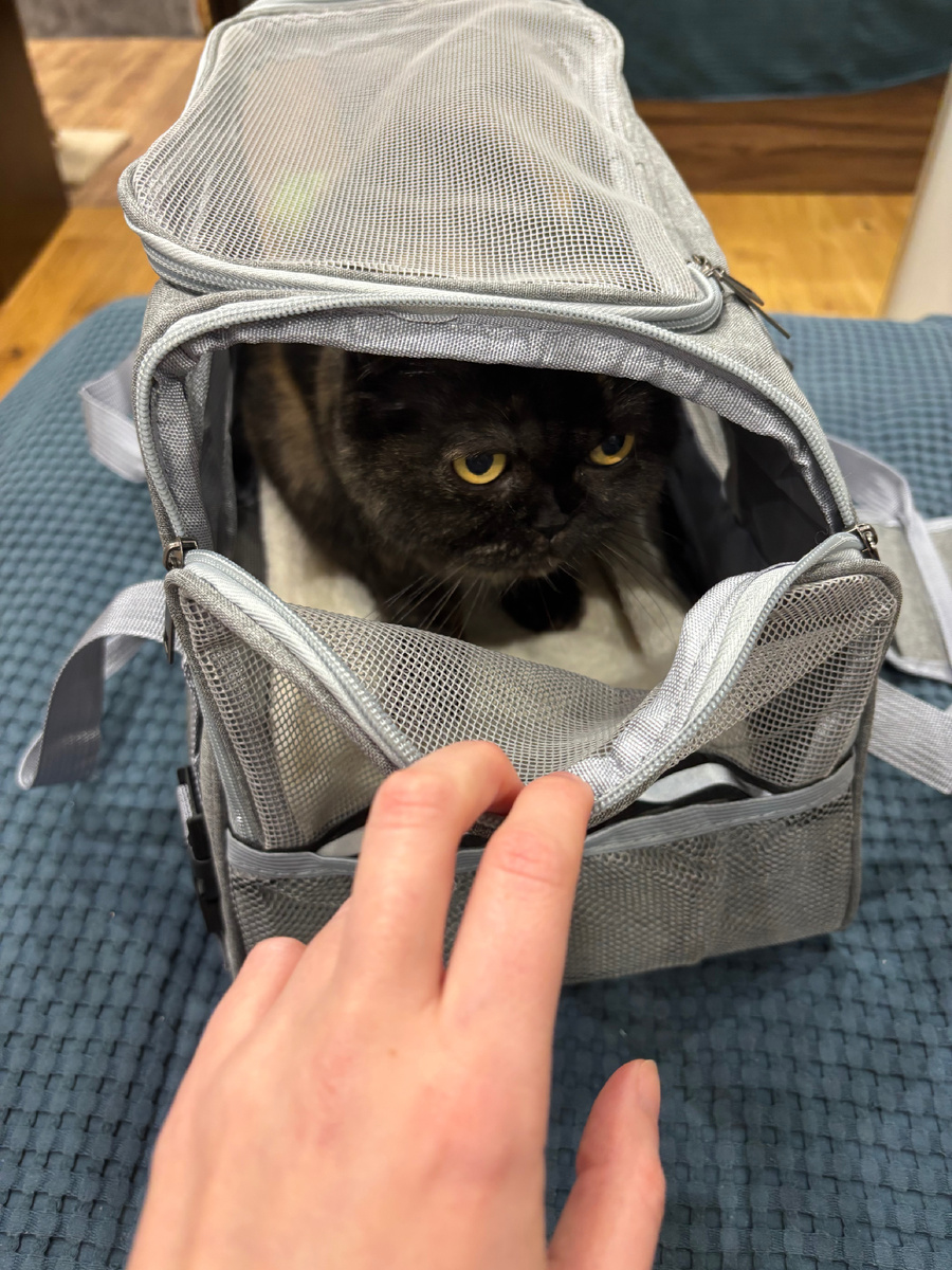 Не очень удачная переноска оказалась. До сих пор воняет Китаем. Бедная кошка дышала этой химией почти весь день!