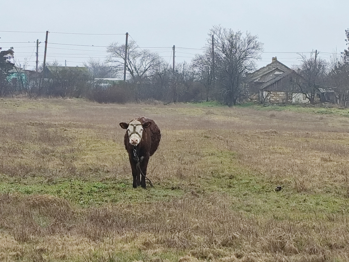 Девушка номер раз
