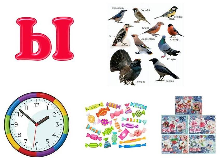 Буква Ы, ПТИЦЫ, ЧАСЫ, КОНФЕТЫ, АЛЬБОМЫ