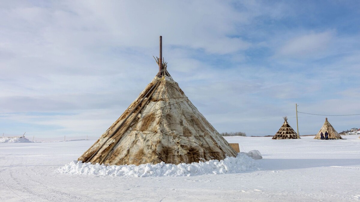    Фото: Федор Воронов/«Ямал-Медиа»