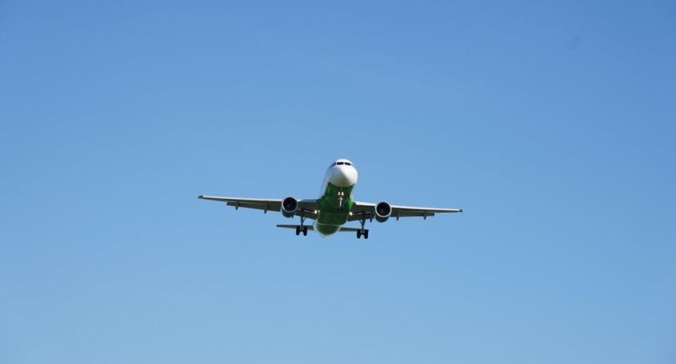    REGIONS/Дарина Левкина