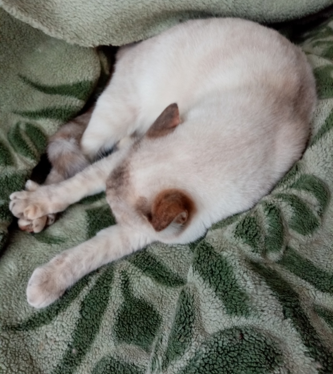 Я летом буду так загорать, Наташ 😄