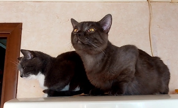 Наташ, весна там?