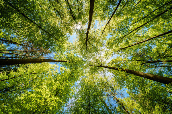 shuttertim82/Shutterstock/FOTODOM   📷