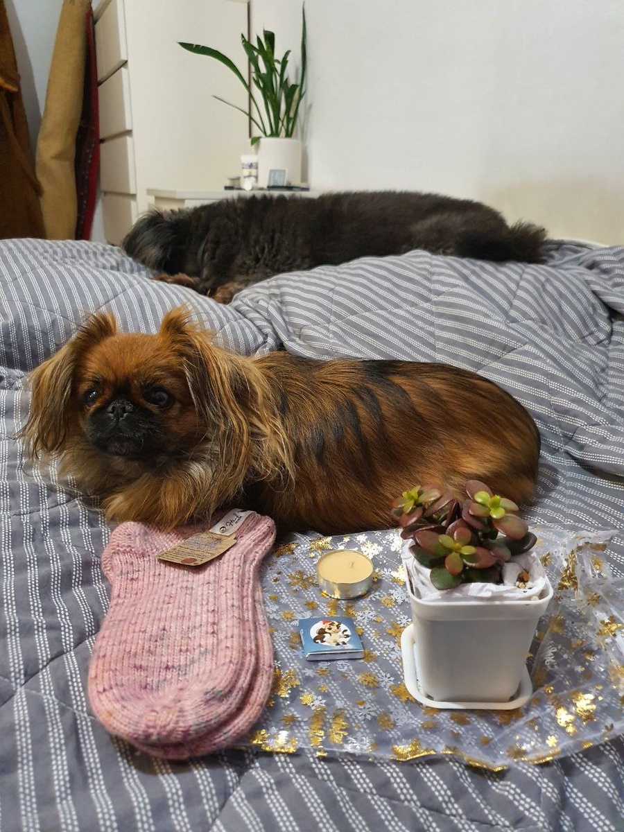 носочки и цветочке я купила на новогоднем аукционе