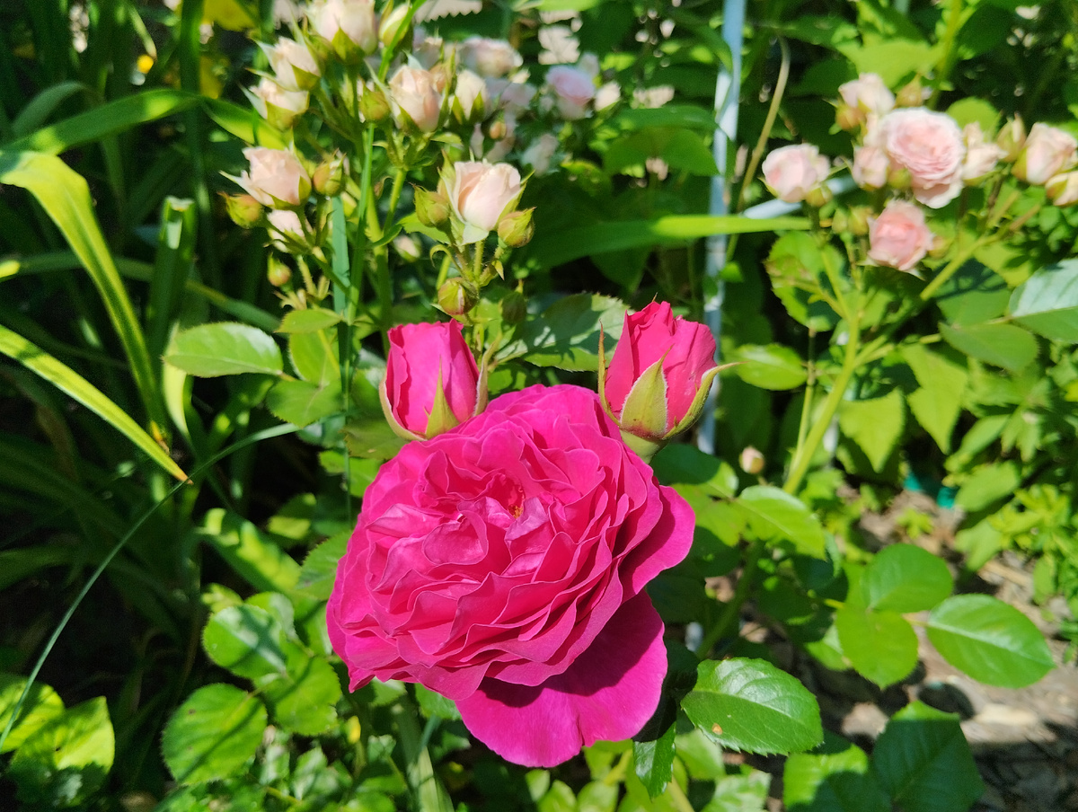 Совершенно не соотвествовала названию и картинке на пакете