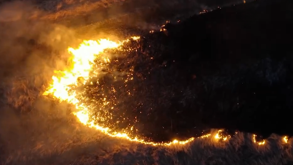 ФОТО: Кадр из программы "Тайны Чапман", РЕН ТВ