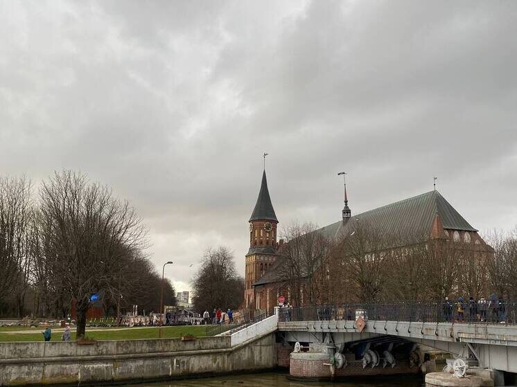     Фото: архив МК в Калининграде.