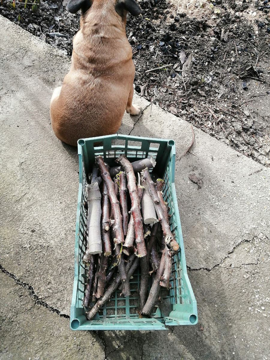 Леон мне помогает.