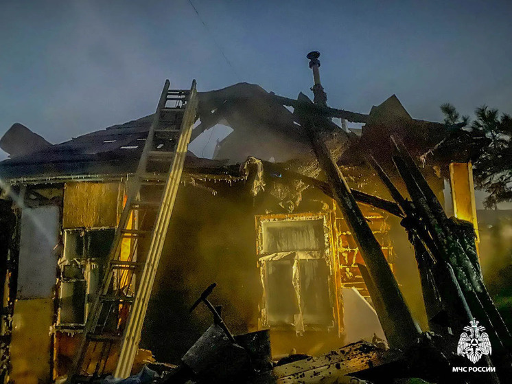     Фото: ГУ МЧС России по Омской области