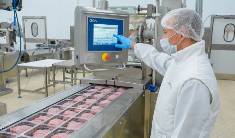    Фото: Пресс-служба ГК «Дамате»