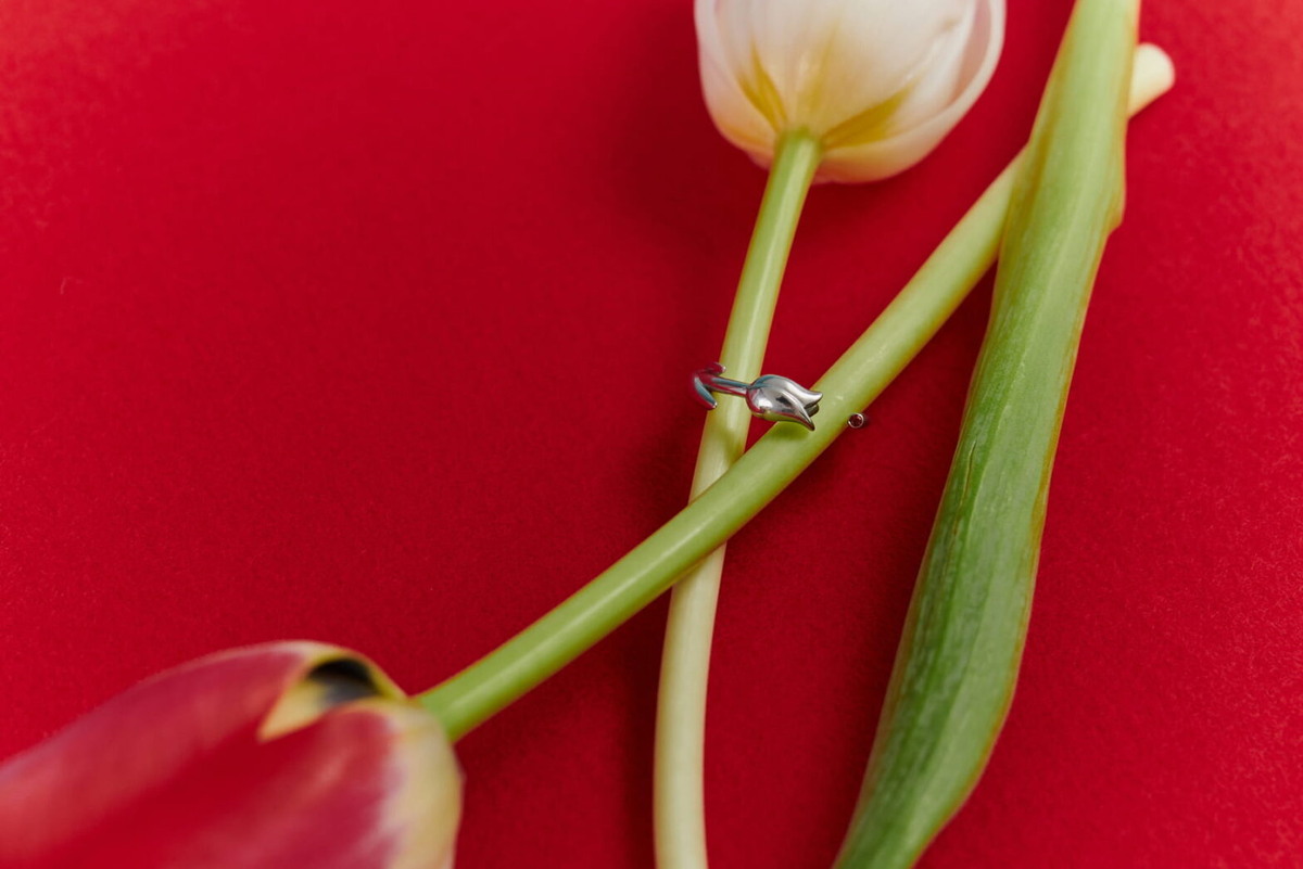    Фото: архивы пресс-служб