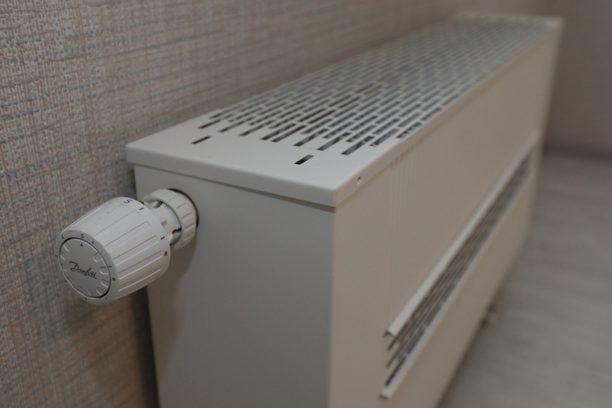 Фото: Александр Глуз