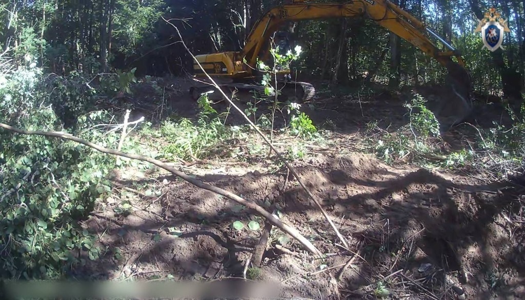 Директор стройфирмы и экскаваторщик пойдут под суд за вырубку 32 деревьев под Зеленоградском.Фото: СУ СК РФ по Калининградской области Янтарный край  📷
