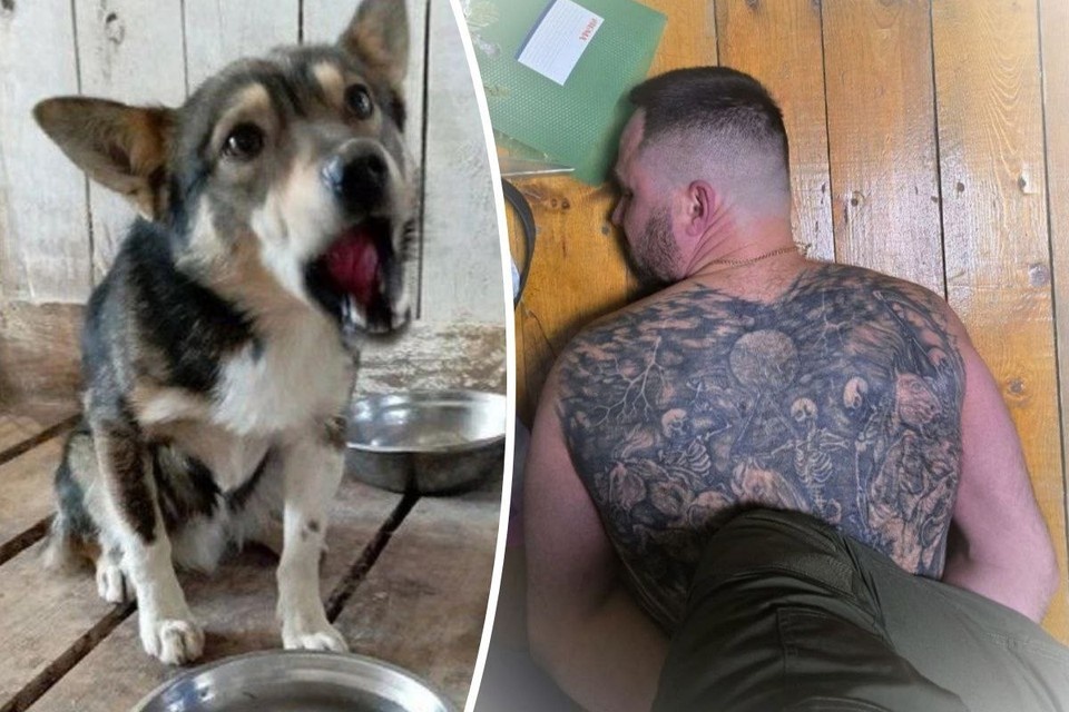    Рукаводителей ПКС, где собак морили голодом, задержали. Фото: зоозащитница Светлана Седухина/«Общественный Контроль - Свердловская область»