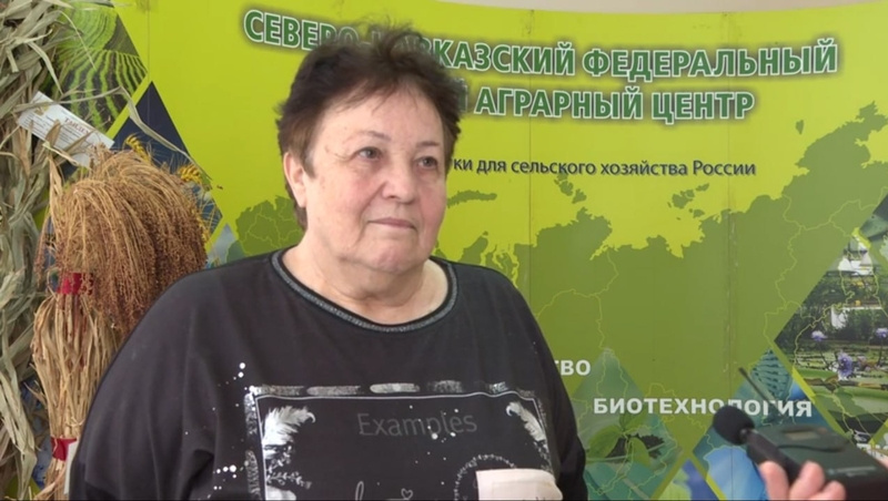      Фото: Правительство СК