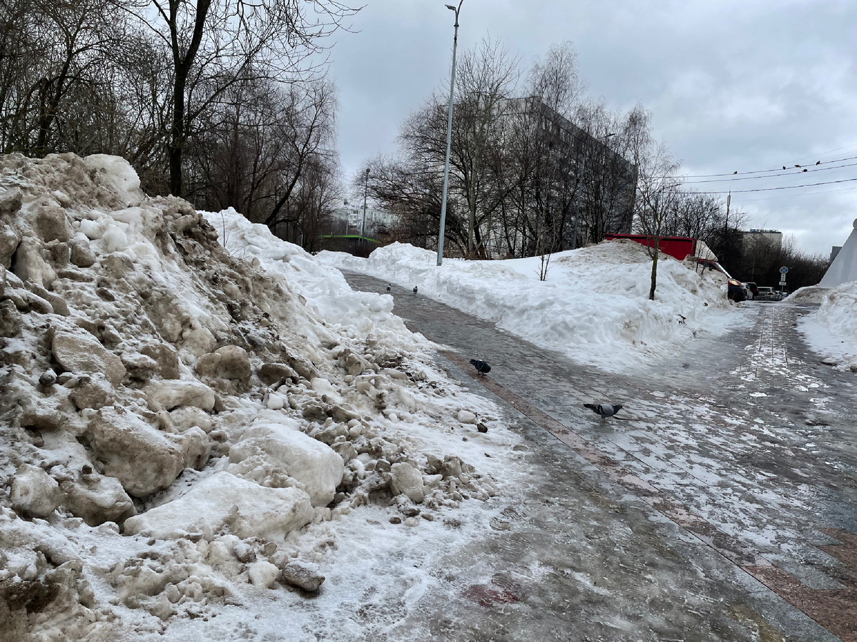 Теперь у нас такие пейзажи 