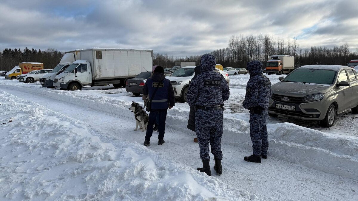    Фото: vk.com/kvzpb_official