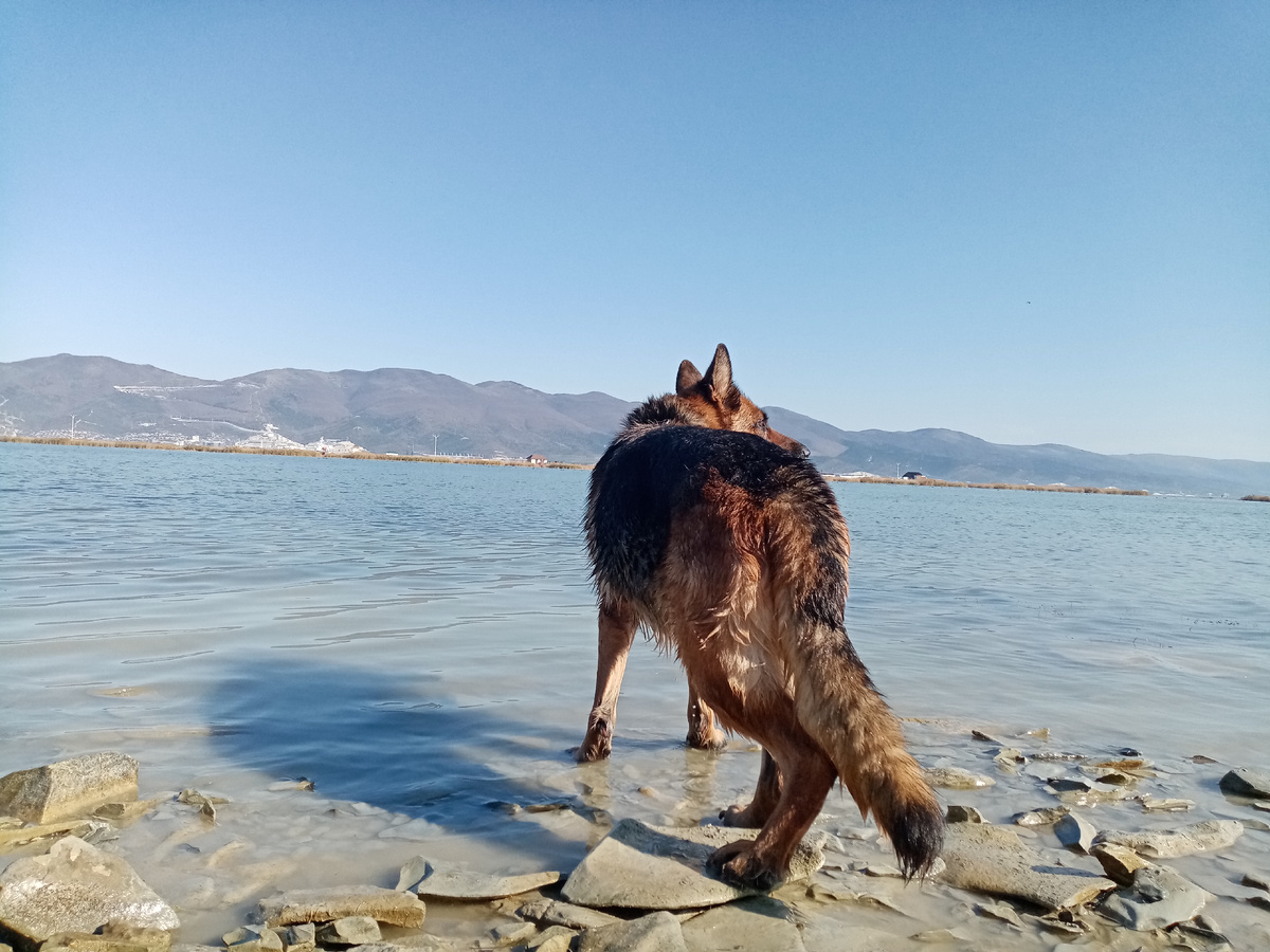 Дорис и оз.Соленое (Новороссийск)