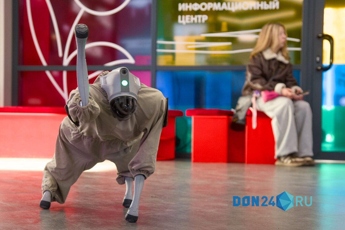    ДОН24   📷   ДОН24   📷   ДОН24