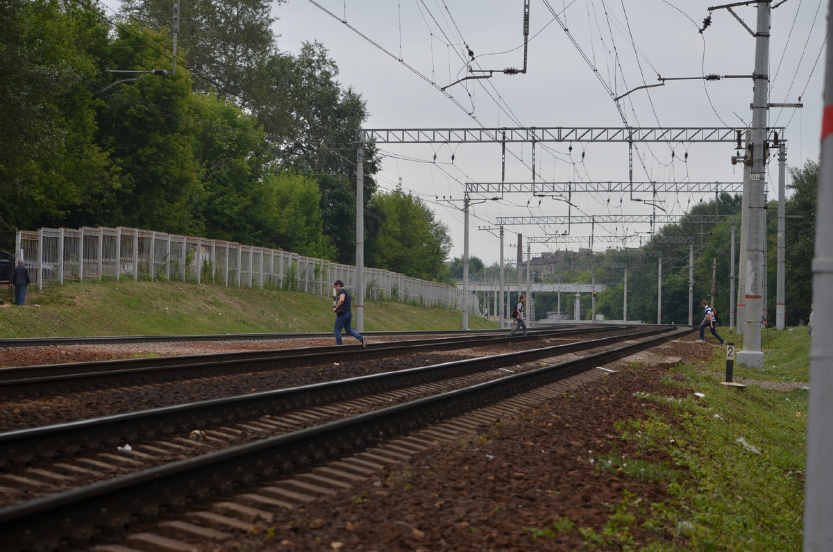 Не переходите пути в неположенном месте! 